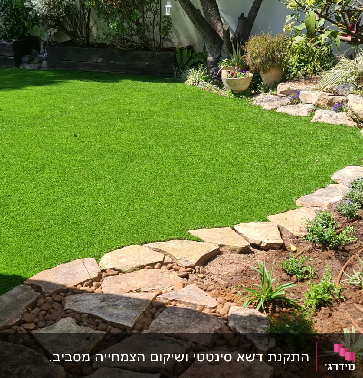 גינה עם דשא סינתטי, שביל אבנים וצמחים צעירים